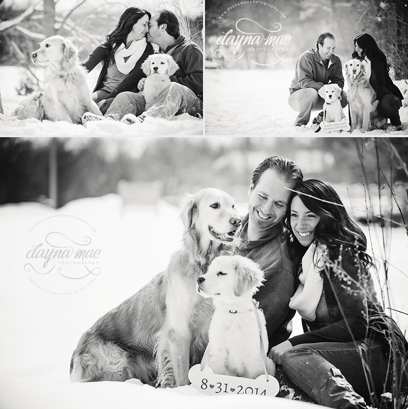 Ann_Arbor_Engagement_02