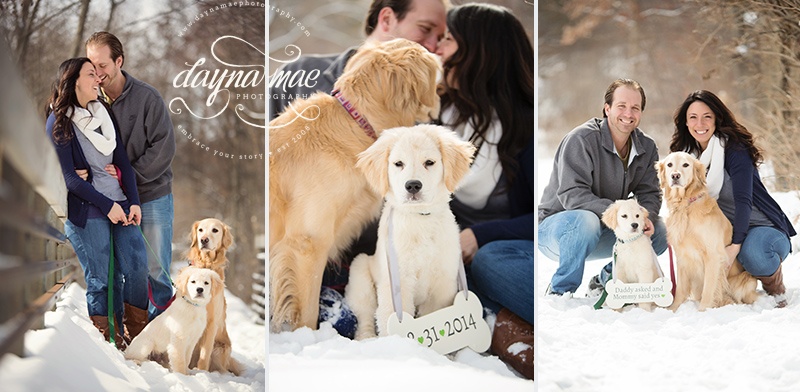 Ann_Arbor_Engagement_03