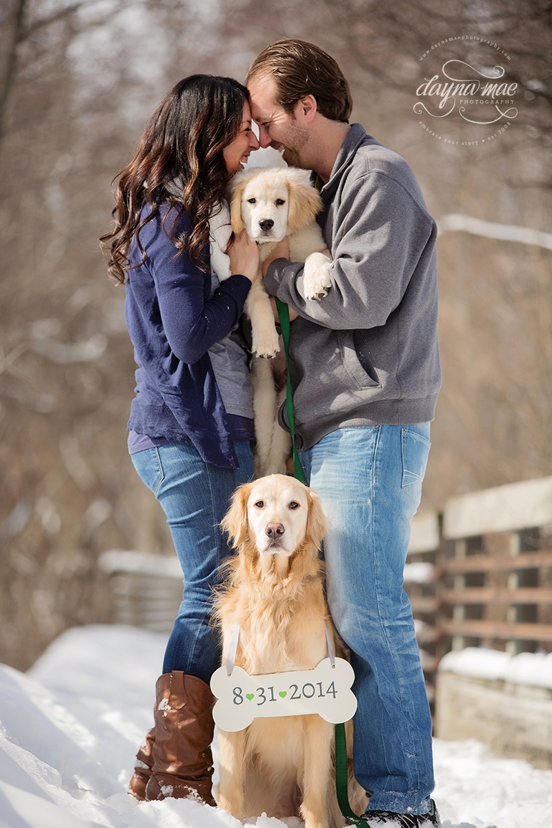 Ann_Arbor_Engagement_04