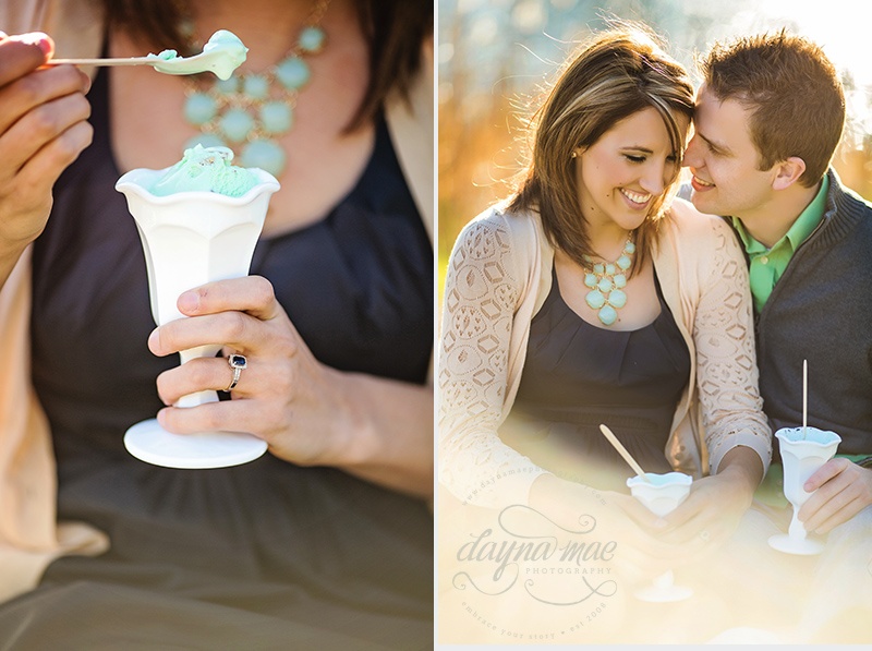Ann_Arbor_engagement_07