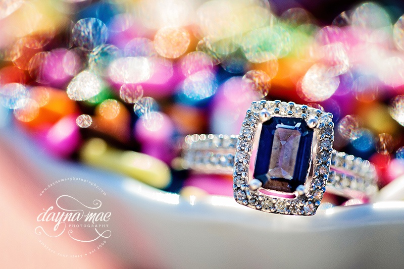 Ann_Arbor_engagement_10