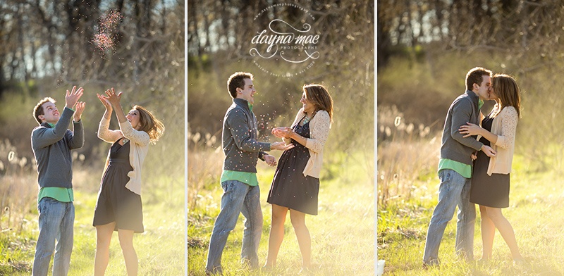 Ann_Arbor_engagement_11