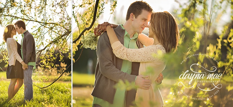 Ann_Arbor_engagement_18