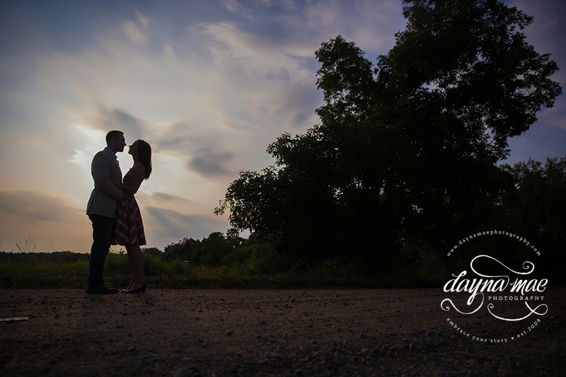 Ann_Arbor_engagent_15