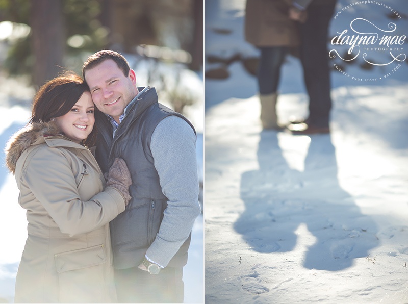 ann_arbor_engagement_02