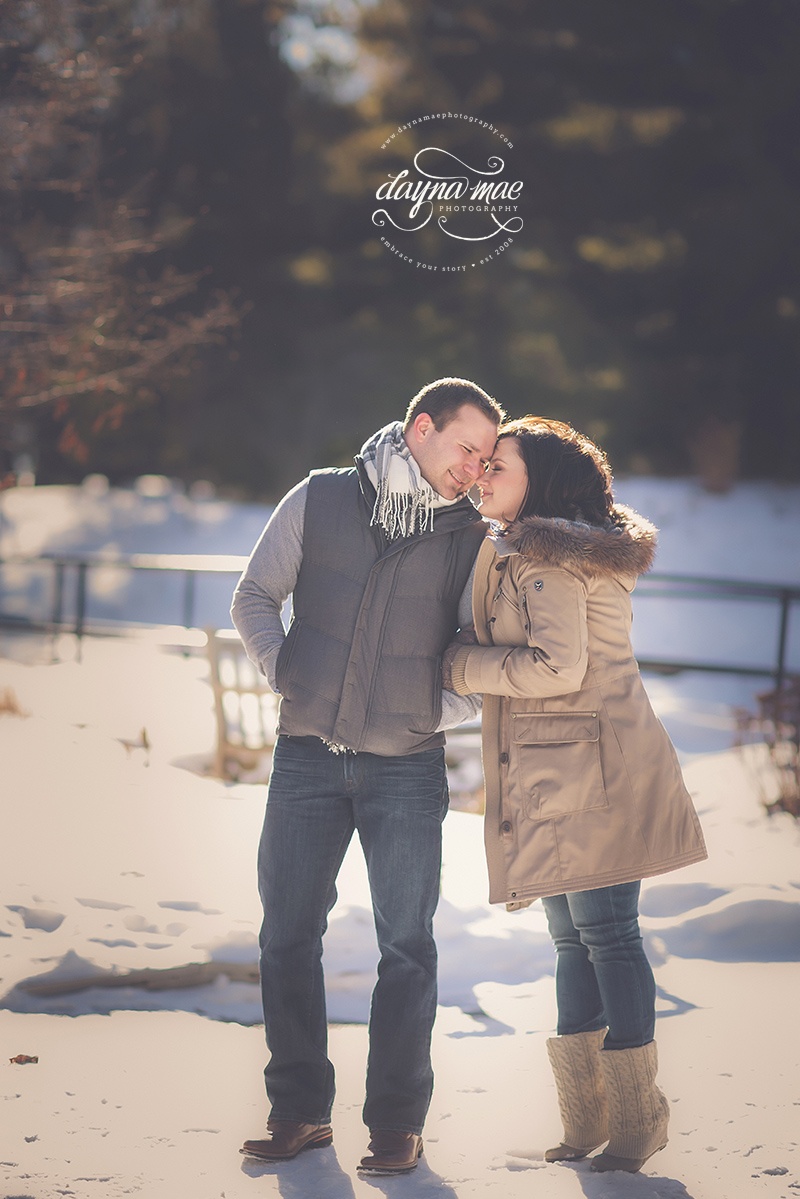 ann_arbor_engagement_03