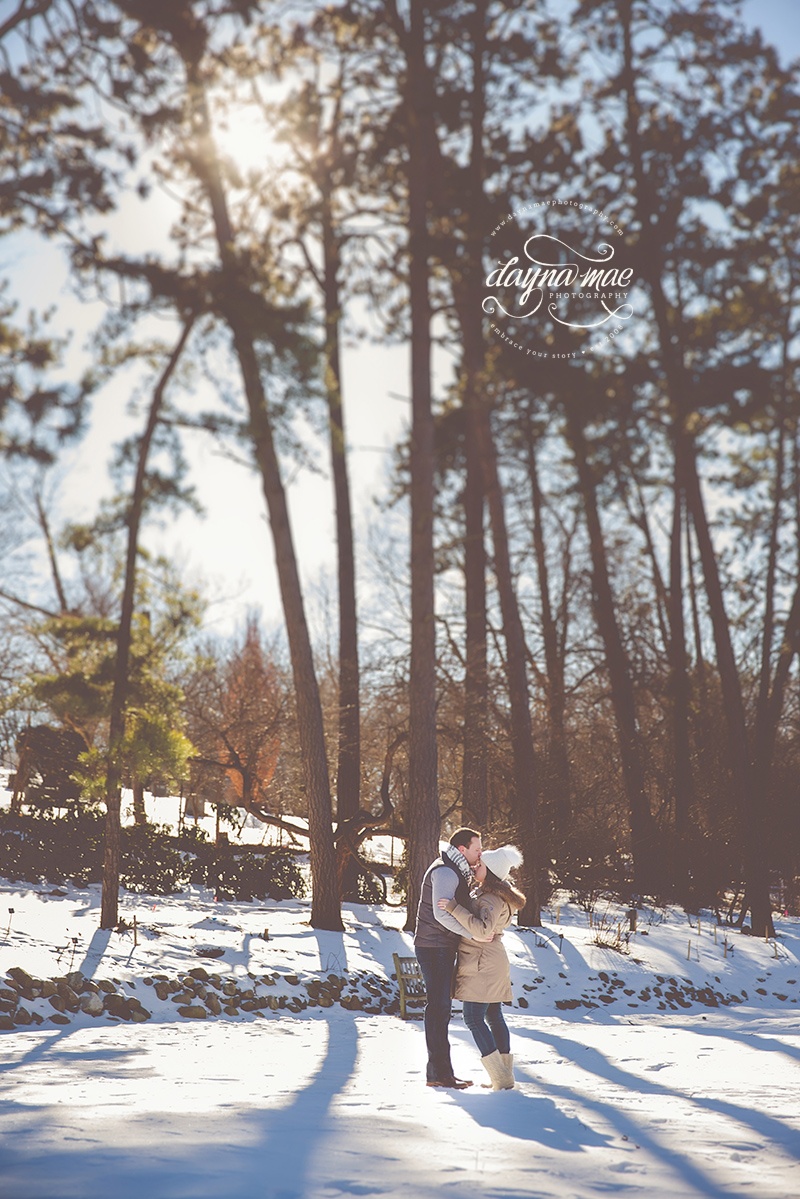 ann_arbor_engagement_07