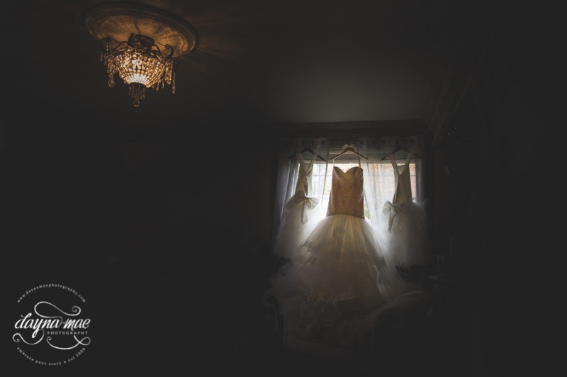 Ann_Arbor_Barn_Wedding-001