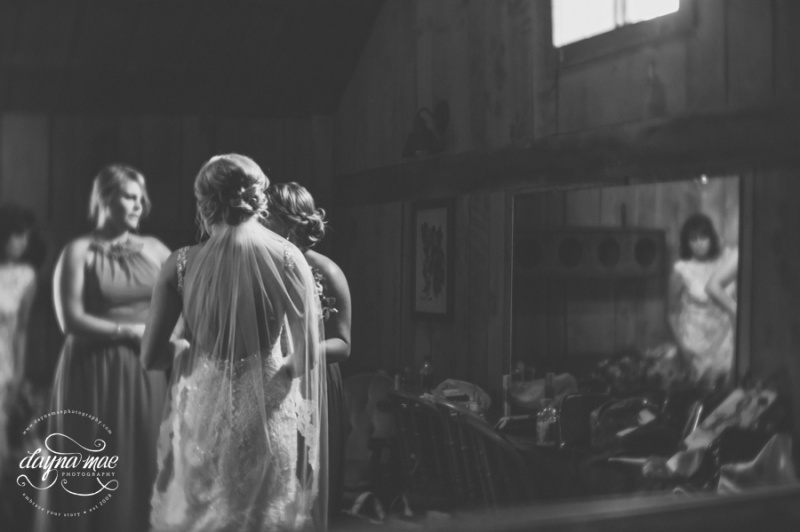 Frutig_Farms_Ann_Arbor_Wedding_0033