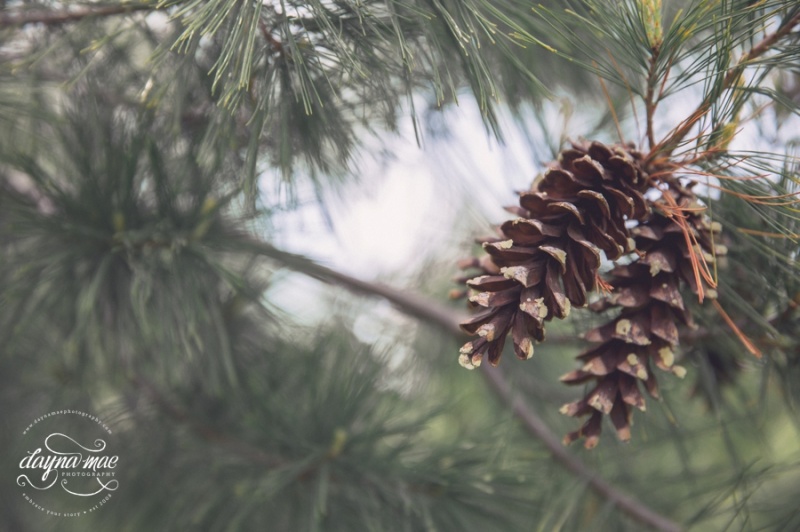 Frutig_Farms_Ann_Arbor_Wedding_0049