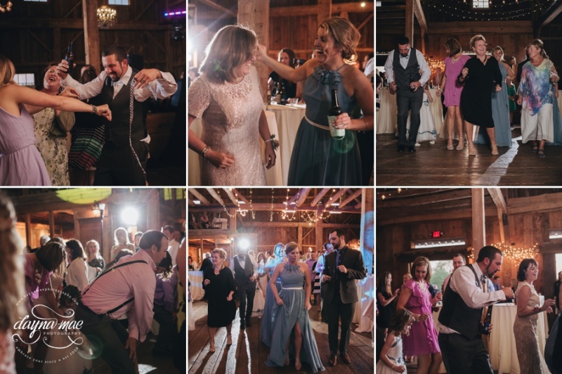 Frutig_Farms_Ann_Arbor_Wedding_0089