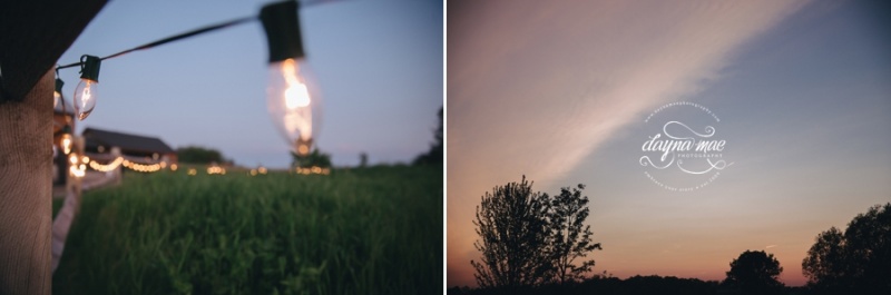 Frutig_Farms_Ann_Arbor_Wedding_0091