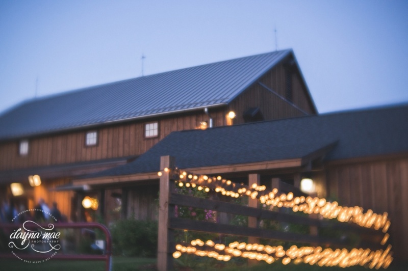 Frutig_Farms_Ann_Arbor_Wedding_0092