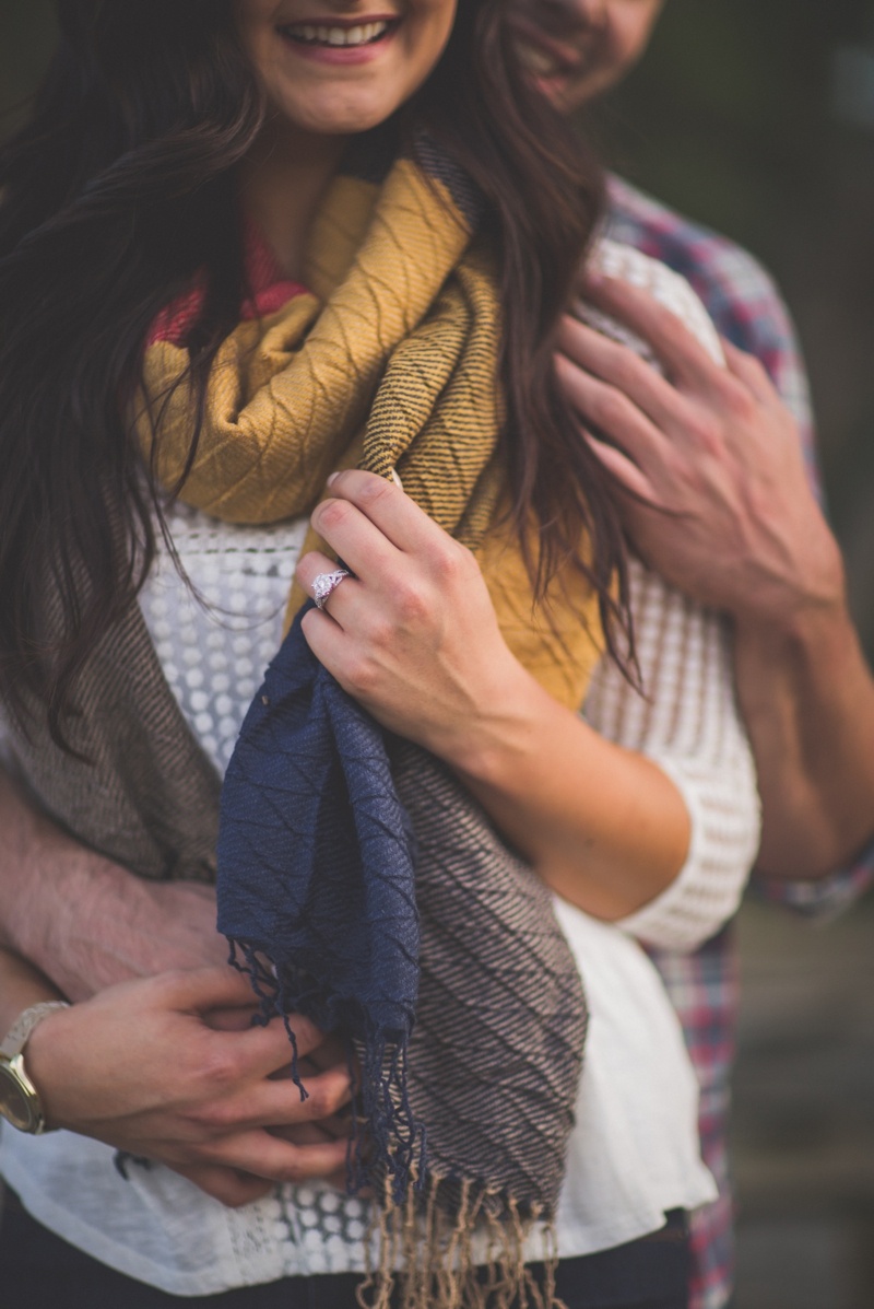 Ann Arbor Engagement